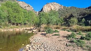 Momento de relax en la naturaleza