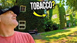 I Found the MOST Unique Hotel in Thailand