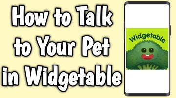 How to Talk to Your Pet in Widgetable
