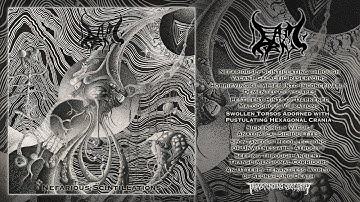 DEAD AND DRIPPING - Nefarious Scintillations FULL ALBUM STREAM | Transcending Obscurity