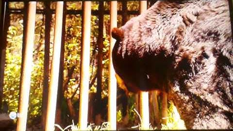 AzBox Me Enigma2 RTi Core v1.1.0 & Wicard EMU & Cardsharing Platforma HD - www.pristavka.de