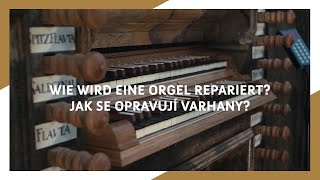 VIDEO O BAROKNÍCH ŘEMESLECH - VARHANÁŘ