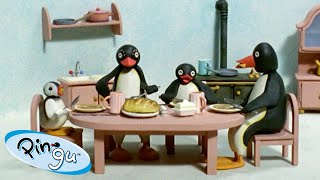 Pingu Loves His Family| Pingu  Official Channel | Cartoons For Kids