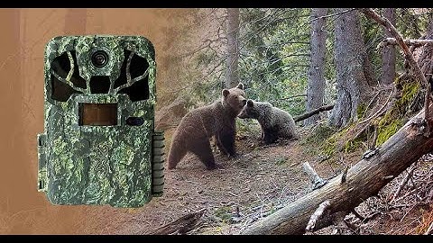 Trail camera Browning Spec Ops Elite HP5 footage