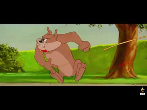 Tom and Jerry - Pet Peeve - Episode 88 - Tom and Jerry Cartoon ► iUKeiTv™