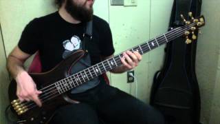 Broken Bells - The Remains of Rock &amp; Roll (Bass Cover) [Pedro Zappa]