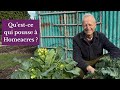 Visite du jardin en février : des pousses inattendues en plein hiver ! Méthode sans labour