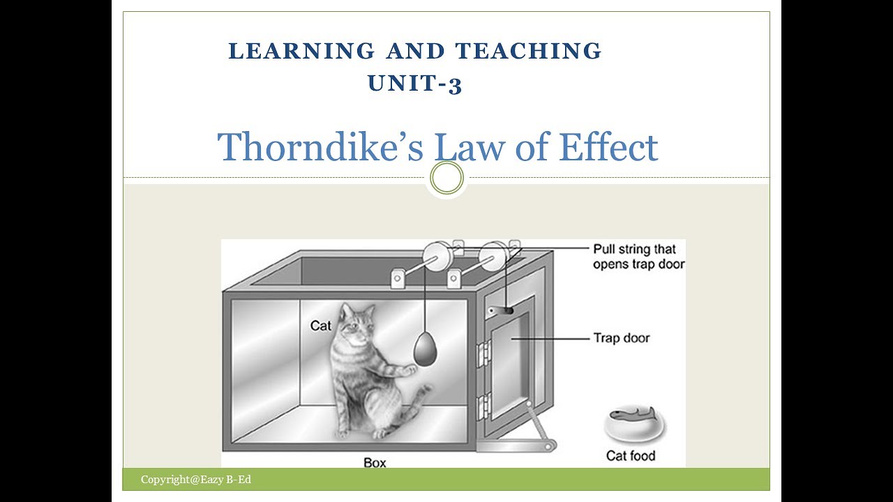 thorndikes law of effect