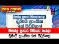 මිසයිල ප්රහාර වීඩියෝ කරලා ඩුබායි ලාංකික 9ක් පිටුවහල්