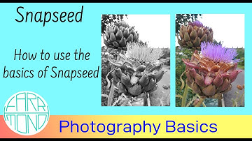 How to use the basics of Snapseed