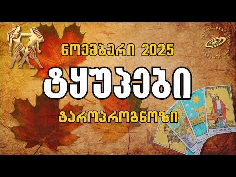 ტყუპები ნოემბერი 2025 ტაროპროგნოზი