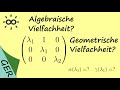 Algebraische und geometrische Vielfachheit?