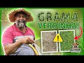 ADUBAÇÃO para deixar sua GRAMA verde