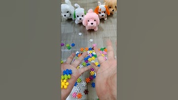 Rainbow 🌈 Satisfying 🐕🐕🐕🐕🐕5 dog❤️🐶🐶🐶🐶 Reverse video ASMR soud 🌈🐕#funnyvideo