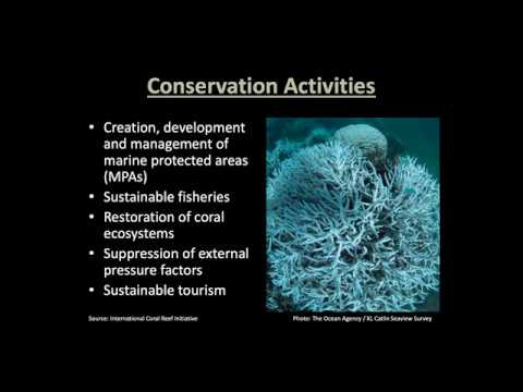 Finance Tools for Coral Reef Conservation  An Overview