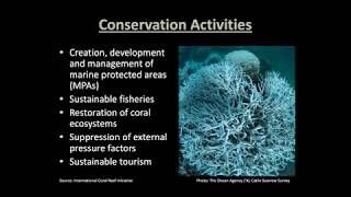 Finance Tools for Coral Reef Conservation  An Overview