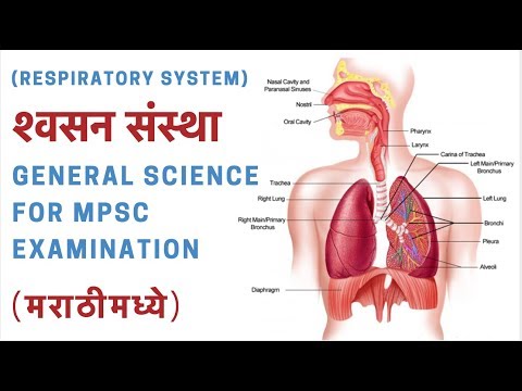 श्वसन संस्था (Respiratory System) मराठीमध्ये - General Science for MPSC Examination