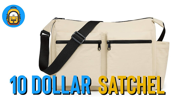 I Paid Just $10 for this Bag!