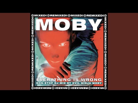 Feeling So Real (Westbam Mix) (Mixed)