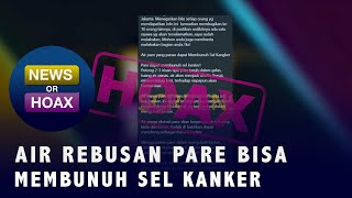 Hoaks Air Rebusan Pare Dapat Bunuh Sel Kanker | News Or Hoax