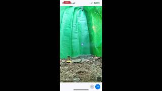 ThingLink screen recording iPhone C3 edited SPARC