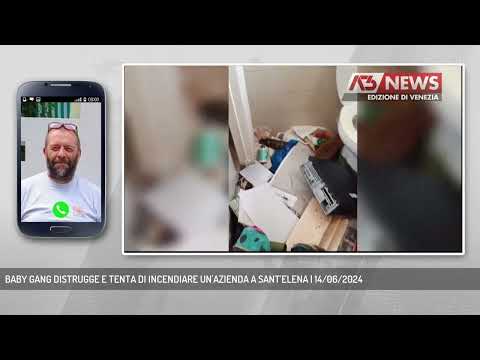 BABY GANG DISTRUGGE E TENTA DI INCENDIARE UN'AZIENDA A SANT'ELENA | 14/06/2024
