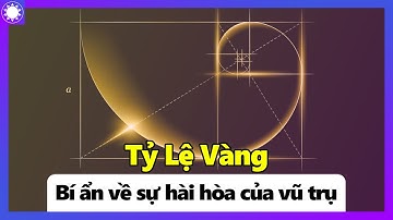 Tỷ Lệ Vàng Fibonacci - Bí Ẩn Về Sự Hài Hòa Của Vũ Trụ