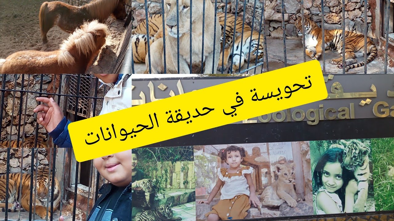 فيديو جديدتحويسة في حديقة الحيونات 🐴🐊🐘🐗🐴🐕وديتكم لافوار