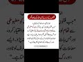 امام ذہبی رحمۃ اللہ علیہ فرماتے ہیں جب فتنوں کا زمانہ اجائے تو تم سنت کو مضبوطی 