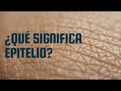 ¿Qué significa epitelio? | Dr. Luis Felipe Felipe