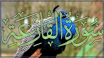 Surah al qariah | surah qariah | al qaria | سورة القارعة# 101. Al Qaria | Qari Nasser #ather khan
