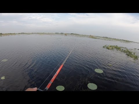 Blue Cypress Water Management Area Fishing - YouTube