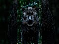 The Ghost That Hunts at Night | Black panther documentry #blackpanther #shorts