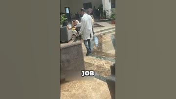 The Best Job You’ll Ever See 🤩 #shorts
