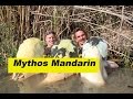 Mythos Mandarin Waller "Der Film" Das Geheimnis der gelben Welse by Stefan Seuß