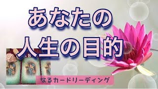 【オラクル】あなたの人生の目的