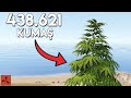 438.621 KUMAŞ TOPLADIM ! TÜRKİYE DE REKOR KIRDIM ! SUNUCUNUN DENGESİNİ BOZDUM | Rust Türkçe