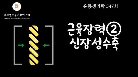 【547회】 신장성수축을 공부해야 하는 이유-근육길이 근육장력② 기출4-4 (교재 p109)