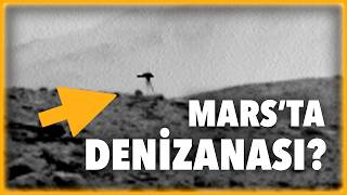 NASA'nın Uzay Aracı Mars'ta Ne Gördü?