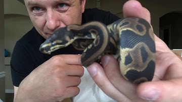 EPIC Unboxing from AEP and more...