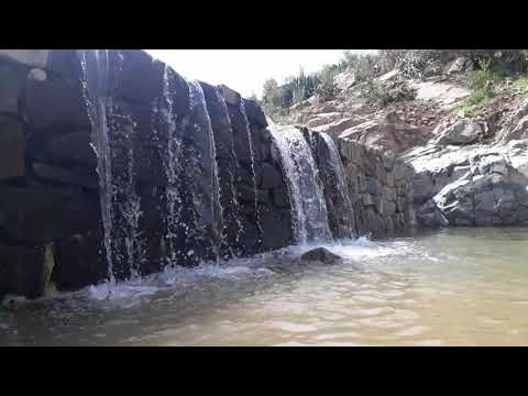 انجاز معتمد محلية نقفه إرتريا 