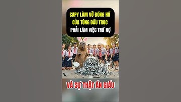Capybara Làm Vỡ Đồng Hồ Của Tùng Đầu Trọc Nên Phải Làm Việc Trừ Nợ Và Sự Thật Ẩn Giấu