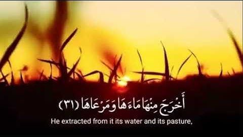 سورة النازعات من 30 الى 40