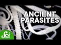 Parasites and Their Hosts