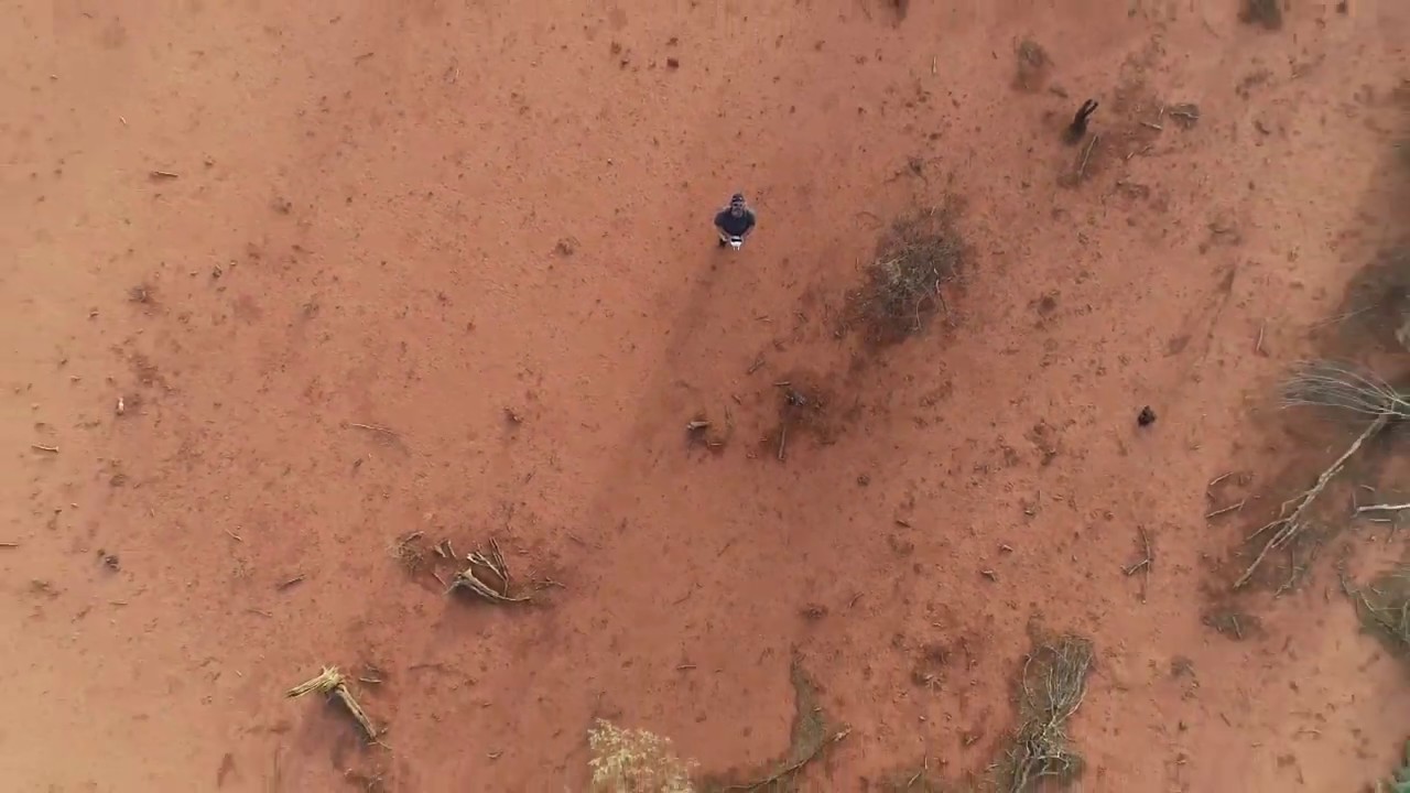 Done footage in Cunnamulla farmland showing severe drought conditions Feb 2019
