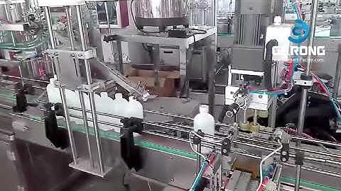 Automatic plastic bottle capping machine with cap sorting feeding prelock system