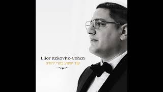 Elior Itzkovitz - Od Yishama | TETA | אליאור איצקוביץ׳- עוד ישמע בערי יהודה by תטה אירועים 542 views 1 month ago 3 minutes, 41 seconds