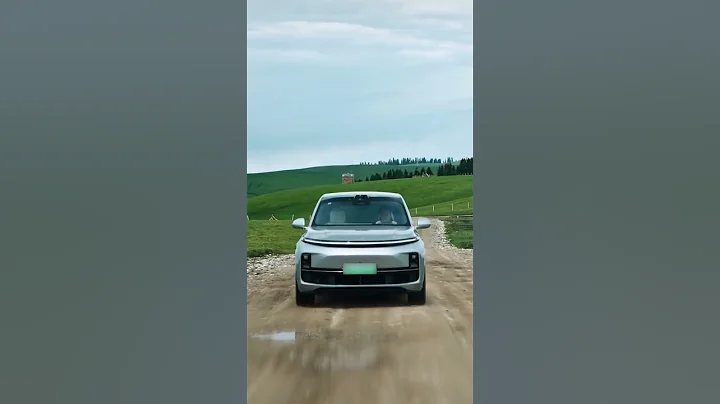 L9 is the flagship from Li Auto, that is a start up NEV brand and very popular in China