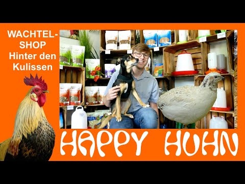 Video: Vögel Auf Dem Land Halten, Hühnerrassen, Wachteln