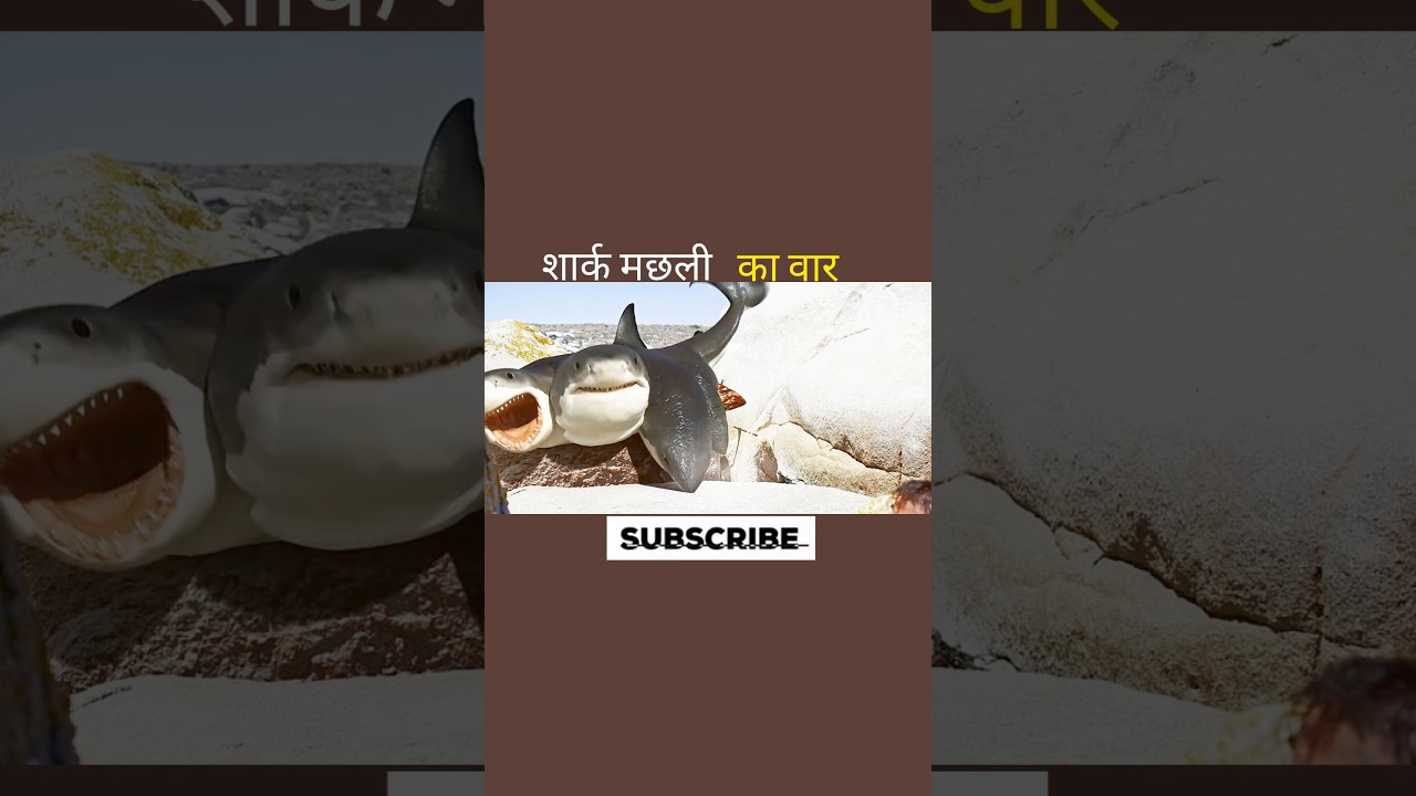 शार्क मछली का वार 😱 #aivideo #facts #shortsfeed #fishing #aivideo #youtubeshorts #amazingfacts